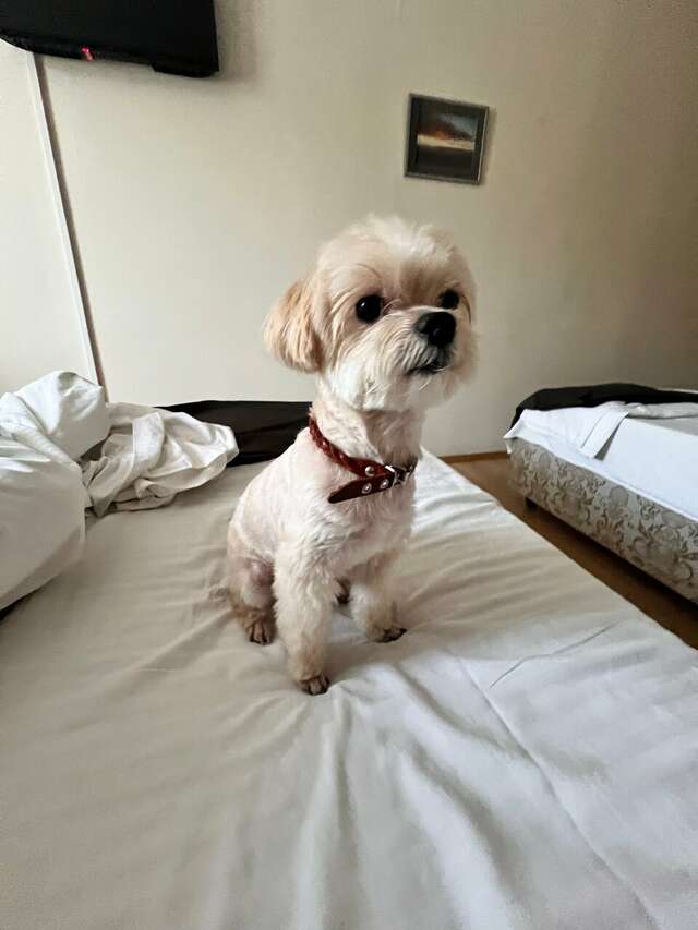 Гостиница Белый Дом Геленджик-91